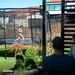 FitNord Bounce Trampoline 366 cm 6